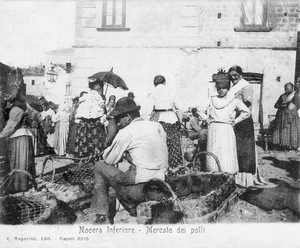 1903_mercato_polli.jpg